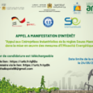 LANCEMENT AMI : PROGRAMME PEEM / HALIOPOLE-GIZ