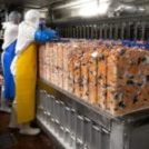 Lancement Enquête auprès des Halioindustriels : Tri et Gestion des déchets