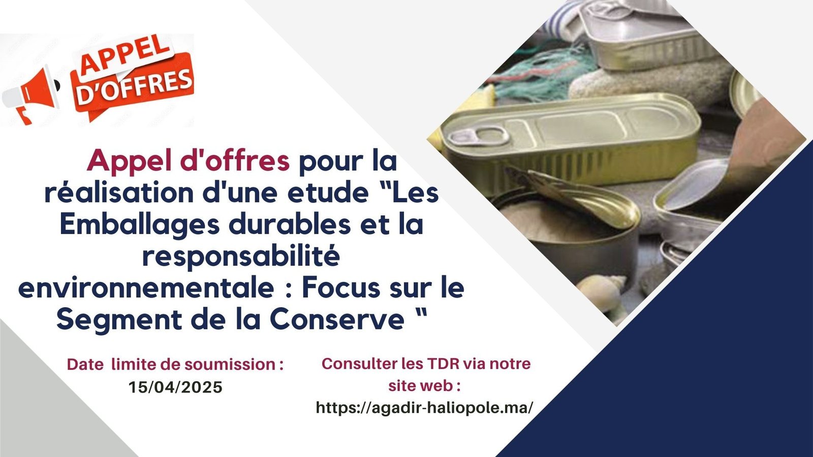 Vert et Bleu Géométrique Entreprise Progrès Rapport Développement Durable Objectifs Présentation (1)