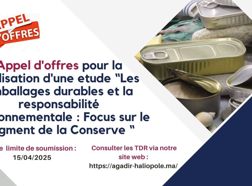 Vert et Bleu Géométrique Entreprise Progrès Rapport Développement Durable Objectifs Présentation (1)