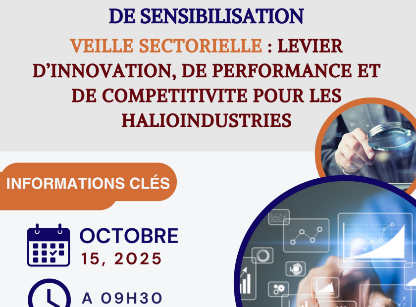 SEMINAIRE sur la Veille Sectorielle